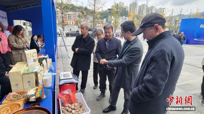 223类产品“上新” 秦巴小城多元布局助推产业升级