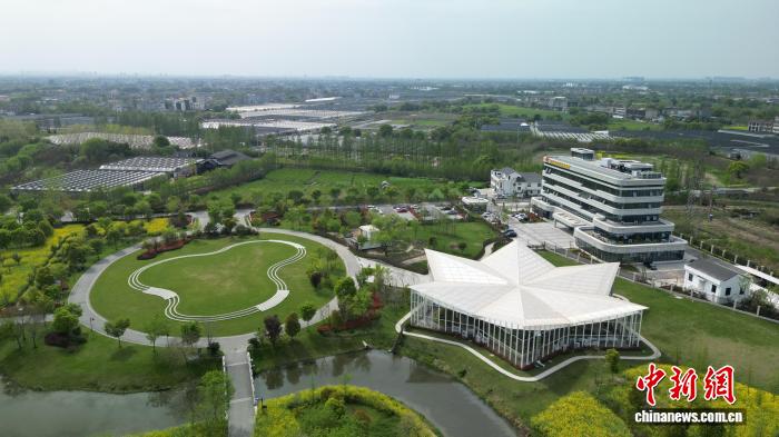 年轻人轨迹映射浙江乡村振兴新叙事