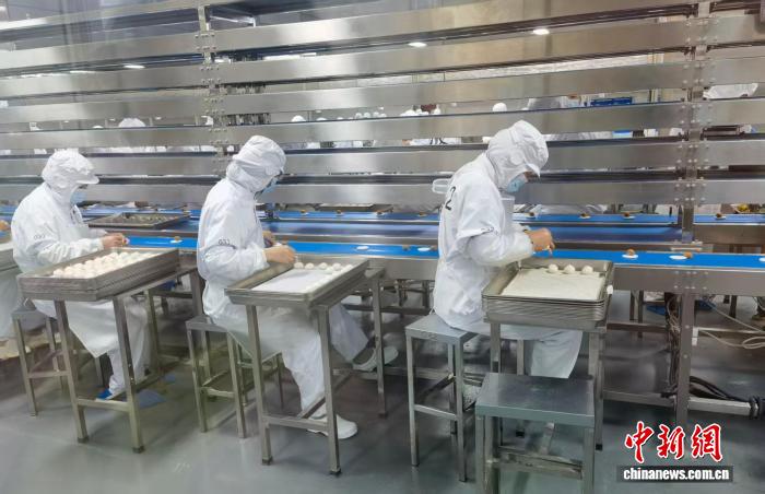 年轻人轨迹映射浙江乡村振兴新叙事