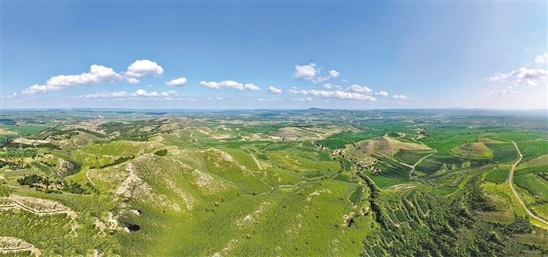 “揭榜挂帅”写下防沙治沙新答卷