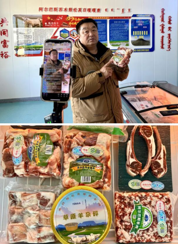 草原村播“送课上门” 鄂托克旗农牧民用手机解锁致富新密码 草原村播“送课上门” 鄂托克旗农牧民用手机解锁致富新密码