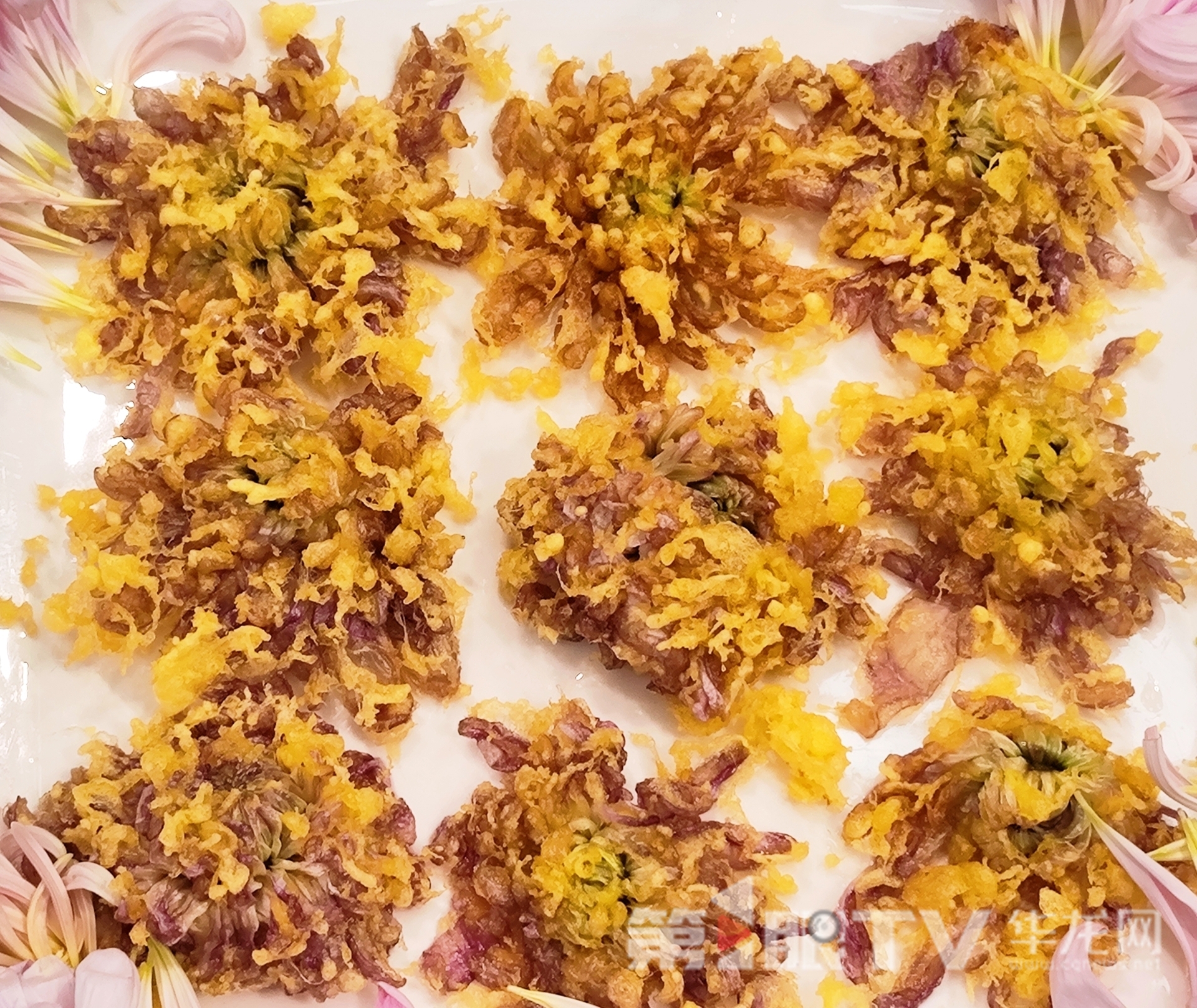 组图 | 重庆“可食菊花”来了 重塑花卉产业“可观可品”新形态 组图 | 重庆“可食菊花”来了 重塑花卉产业“可观可品”新形态