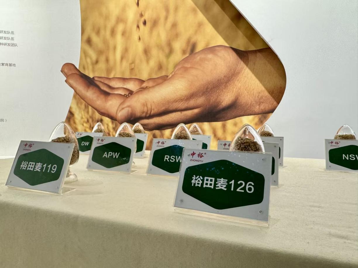 中裕食品打造绿色循环产业链新标杆