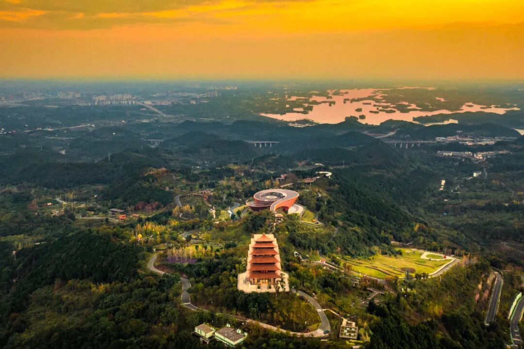 如何加快建设更具活力和幸福感的现代化人民城市？他们这样说