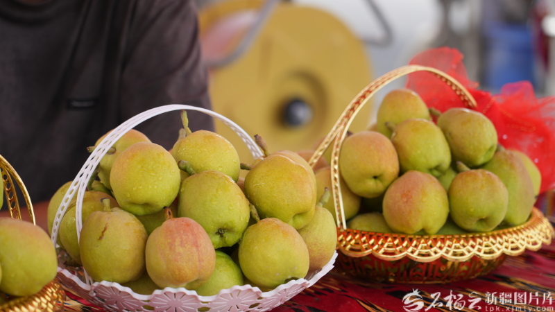 奋进的新疆·我们的“十四五”丨天山果香飘万里