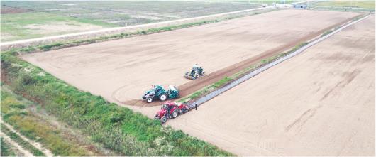 1.5万亩盐碱滩“变身”稳产田