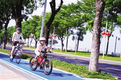 沙田：让“湾区至美滨海港城”愿景照进现实