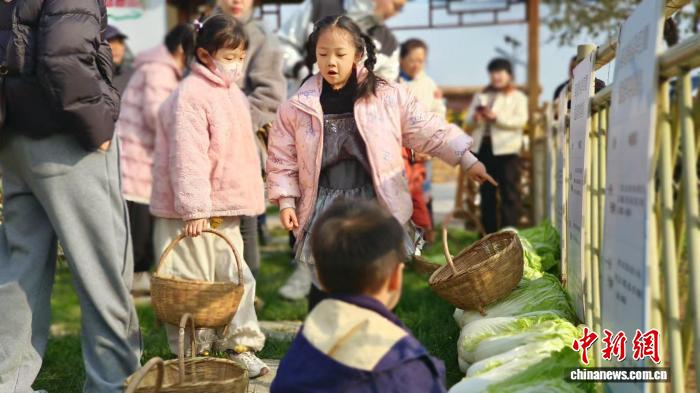 盘活闲置资产引来“新村民” 陕西西安推动田园认养农业