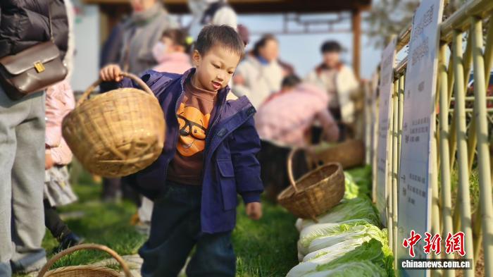 盘活闲置资产引来“新村民” 陕西西安推动田园认养农业
