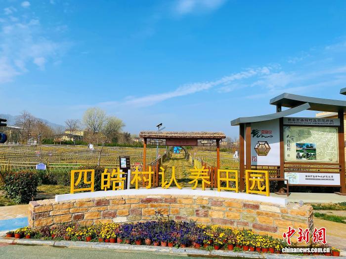 盘活闲置资产引来“新村民” 陕西西安推动田园认养农业
