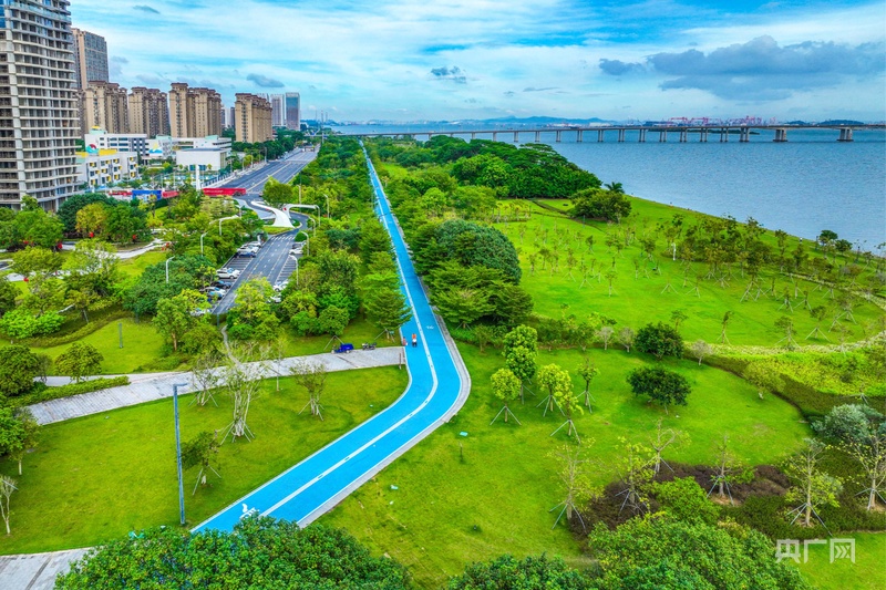 高质量发展看中国丨打造青春活力滨海新城 让“年轻城”服务“年轻人”