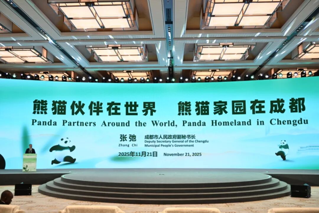 熊猫伙伴再聚蓉城！2025全球熊猫伙伴大会在成都开幕