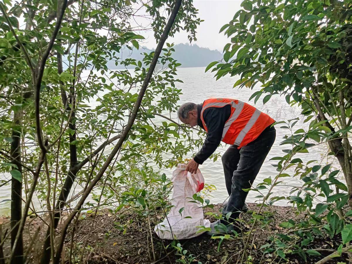 林海间的“红色守护” 丹江口安乐河林场护水护林 林海间的“红色守护” 丹江口安乐河林场护水护林
