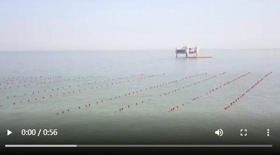 北海新区：打造鲁北地区“潮玩”新地标