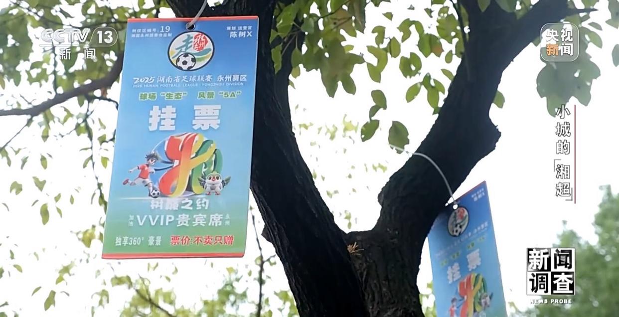 小城的“野生”球场比赛 为何能让全国网友追着看？