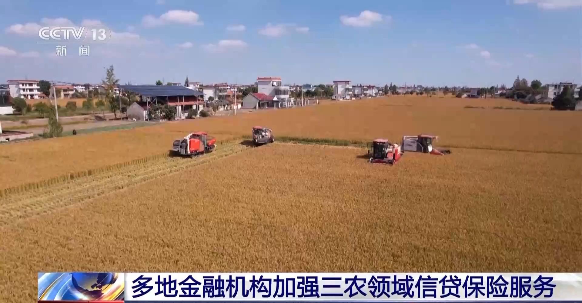 蔬菜贷、民宿贷、水果贷?金融服务“精准滴灌”到田间地头