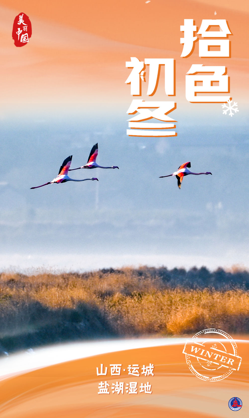 海报｜美丽中国·拾色初冬