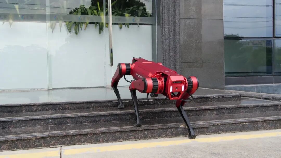 宝安万众瞩目！TA们，闪耀绽放！