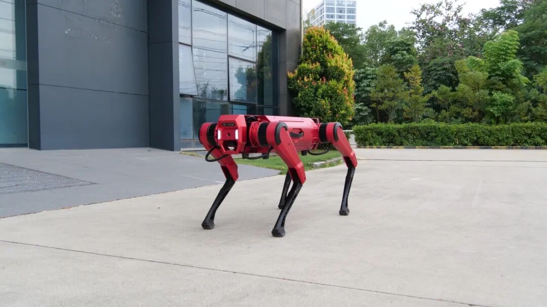 宝安万众瞩目！TA们，闪耀绽放！