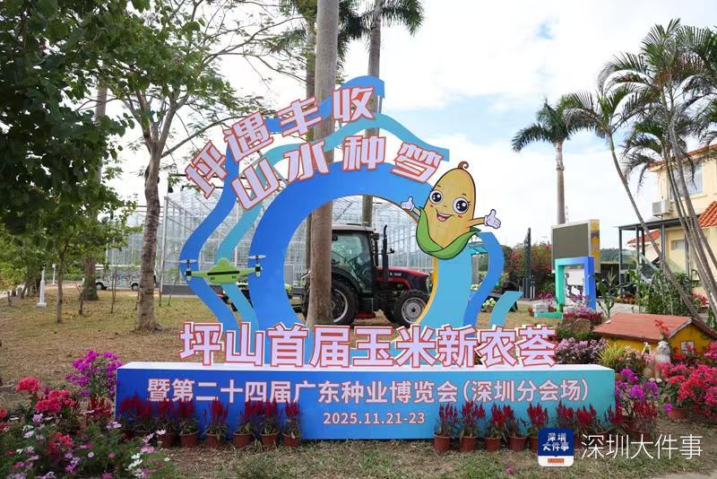 在都市深处播种未来 深圳坪山玉米新农荟勾勒现代田园新范式