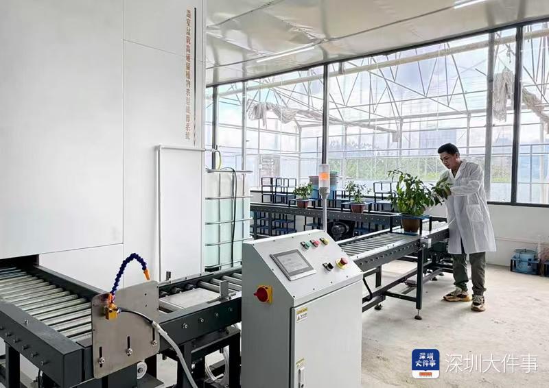 在都市深处播种未来 深圳坪山玉米新农荟勾勒现代田园新范式