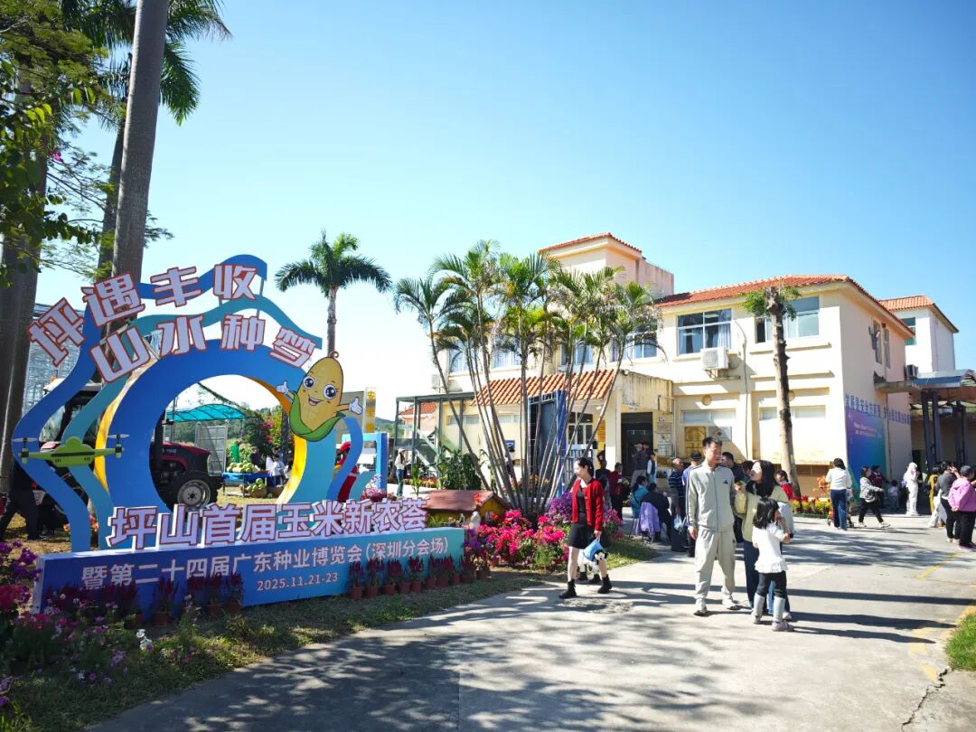 “农文旅+”激活多元价值，“百千万工程”在深圳坪山的都市田园实践