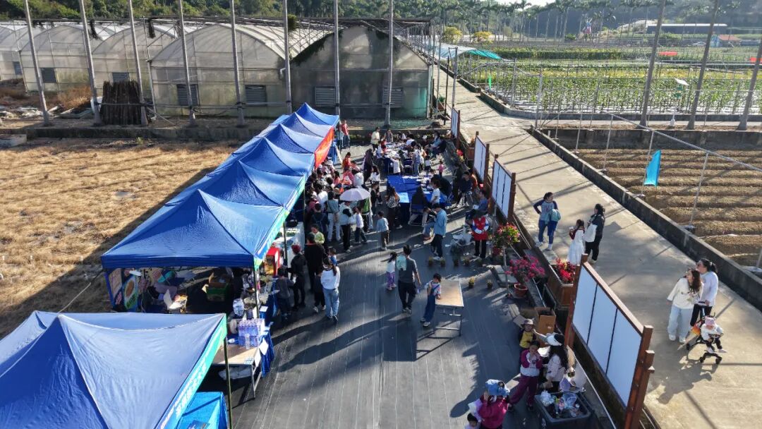 “农文旅+”激活多元价值，“百千万工程”在深圳坪山的都市田园实践