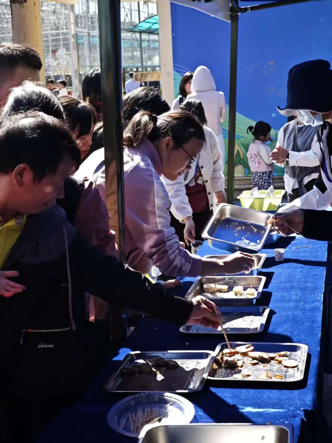 “农文旅+”激活多元价值，“百千万工程”在深圳坪山的都市田园实践