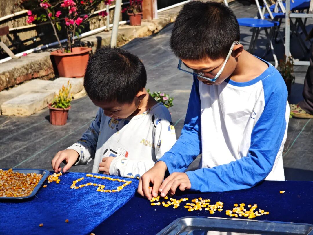 “农文旅+”激活多元价值，“百千万工程”在深圳坪山的都市田园实践