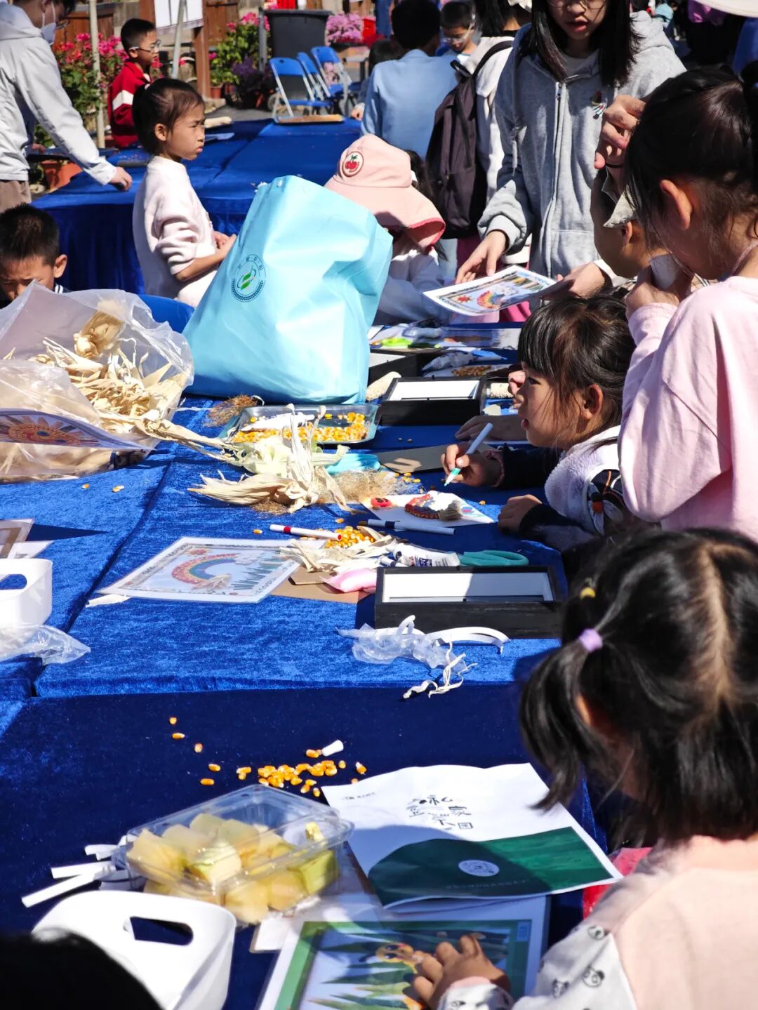 “农文旅+”激活多元价值，“百千万工程”在深圳坪山的都市田园实践