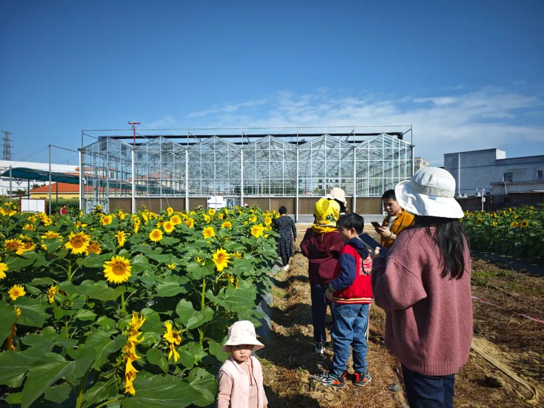 “农文旅+”激活多元价值，“百千万工程”在深圳坪山的都市田园实践