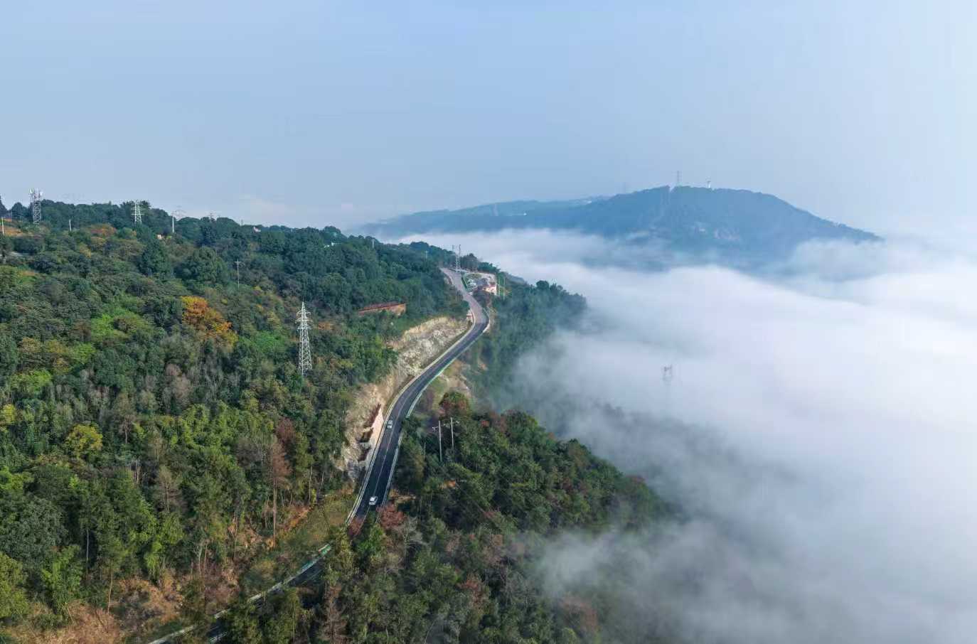 重庆缙云山环线参评“最美农村路” 干群同心铺就百万游客富民路