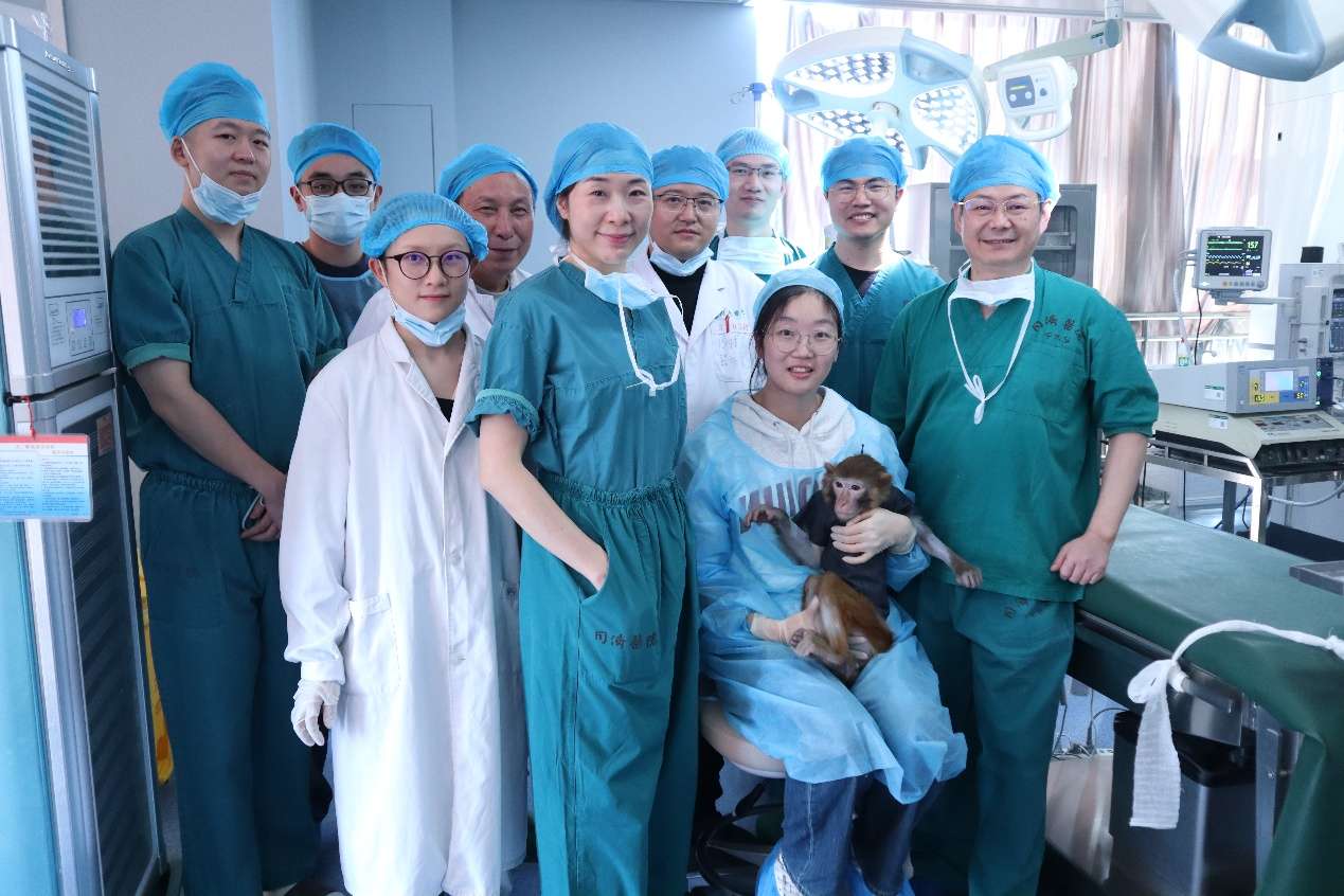 华科大团队取得异种移植新突破：中国首个异种器官移植猕猴存活超过一年
