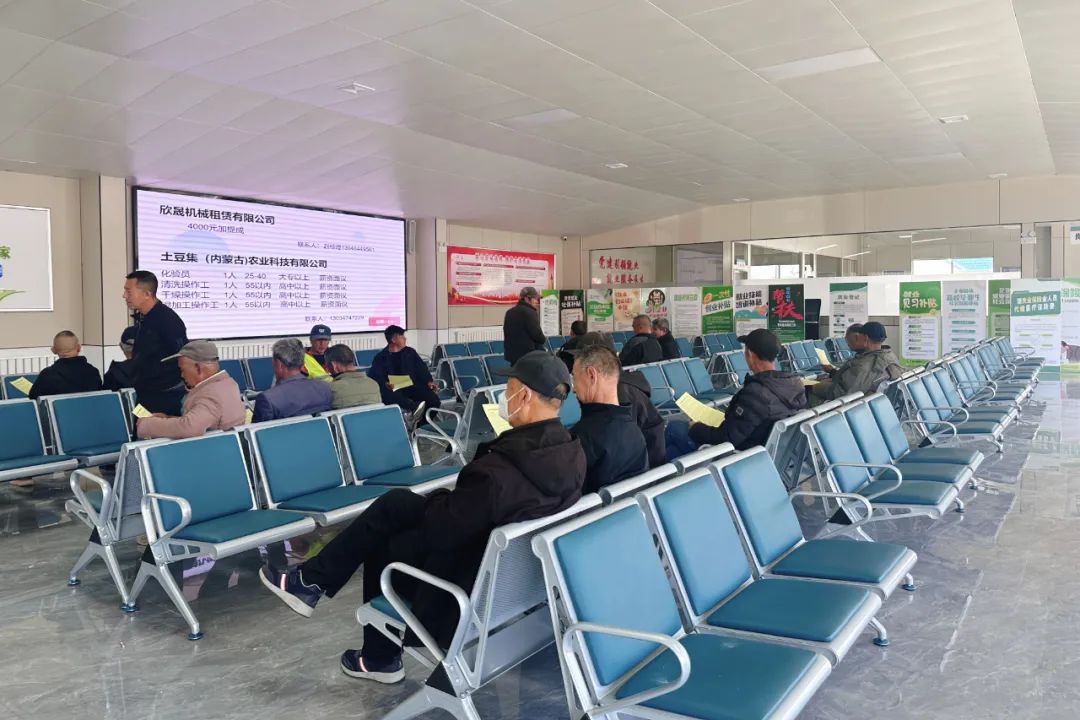 落实“六个行动” | 集宁区：小岗位托举大民生 实举措激活就业力