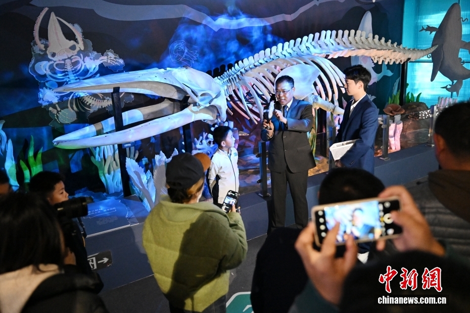 “鲸·奇——海洋深深之遇见鲸”特展在国家自然博物馆开展