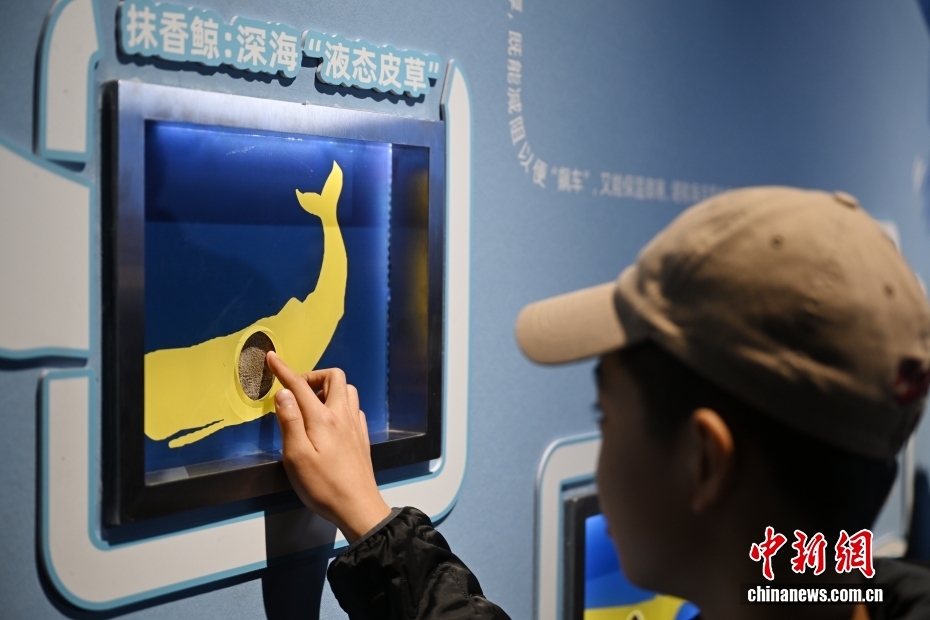 “鲸·奇——海洋深深之遇见鲸”特展在国家自然博物馆开展