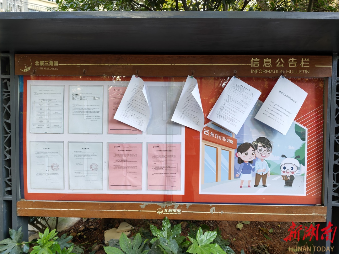 为“文明物业”注入新动能 长沙开展小区物业品质提升观摩会