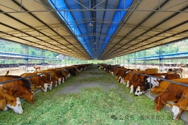 重庆丰都“十四五”答卷：GDP年均增6.2%超全市 产业跃升城乡蝶变文旅出圈绘就协同发展新图景