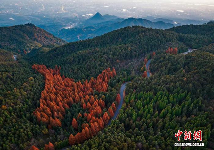 因“善”远播：黄大仙文化有何当代价值？