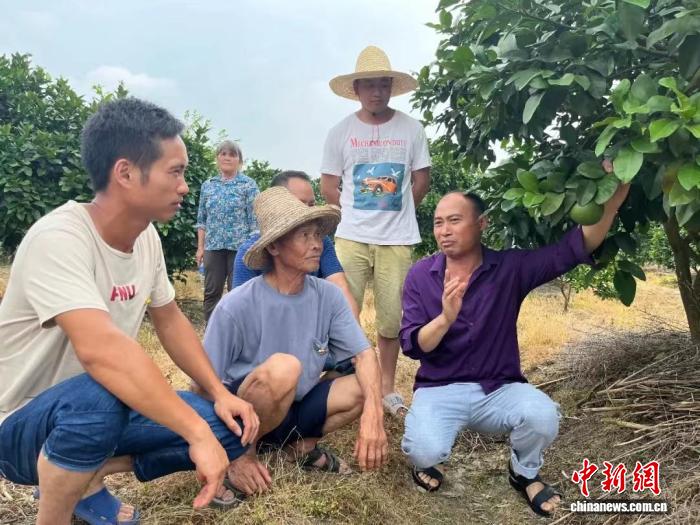 湖南江永搭建“银发人才库” 带动培育新型职业农民