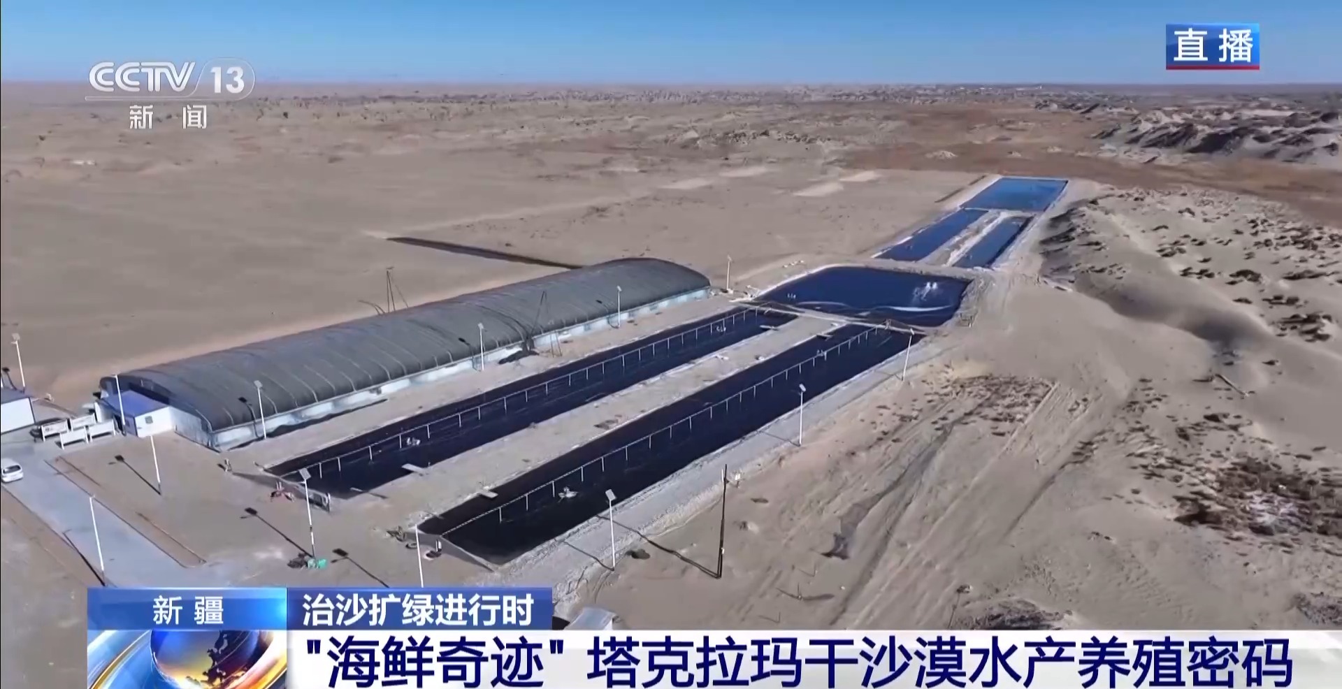 沙漠里如何养海鲜?塔克拉玛干沙漠的水产养殖密码 沙漠里如何养海鲜?塔克拉玛干沙漠的水产养殖密码