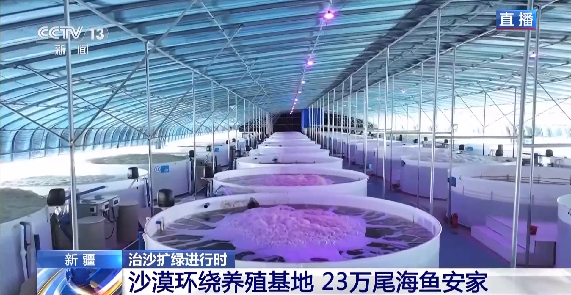 沙漠里如何养海鲜?塔克拉玛干沙漠的水产养殖密码 沙漠里如何养海鲜?塔克拉玛干沙漠的水产养殖密码