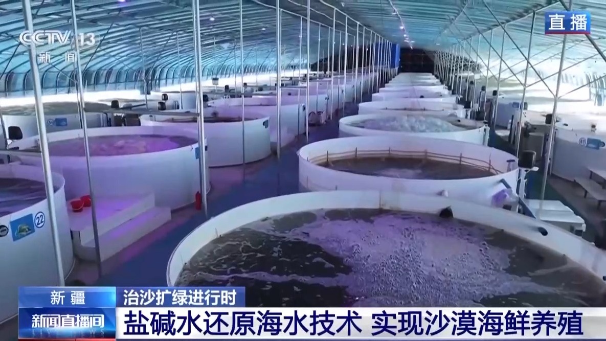 沙漠里如何养海鲜?塔克拉玛干沙漠的水产养殖密码 沙漠里如何养海鲜?塔克拉玛干沙漠的水产养殖密码