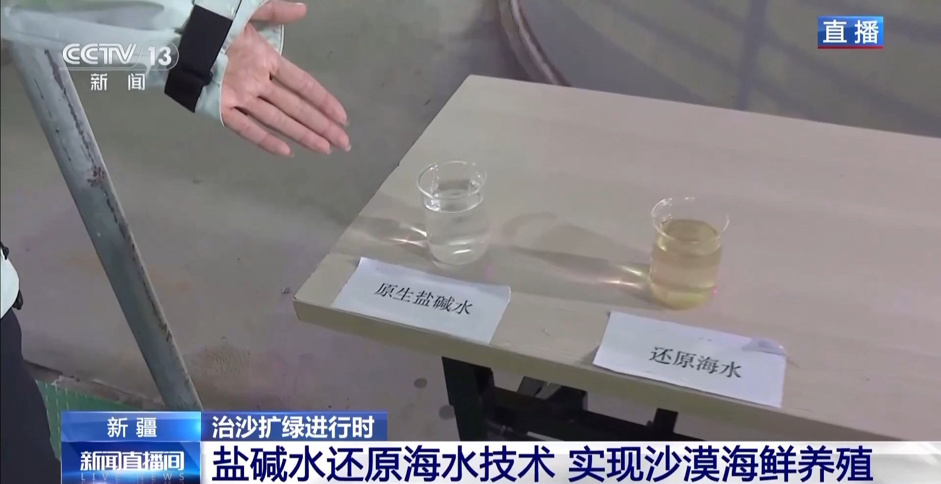 沙漠里如何养海鲜？塔克拉玛干沙漠的水产养殖密码