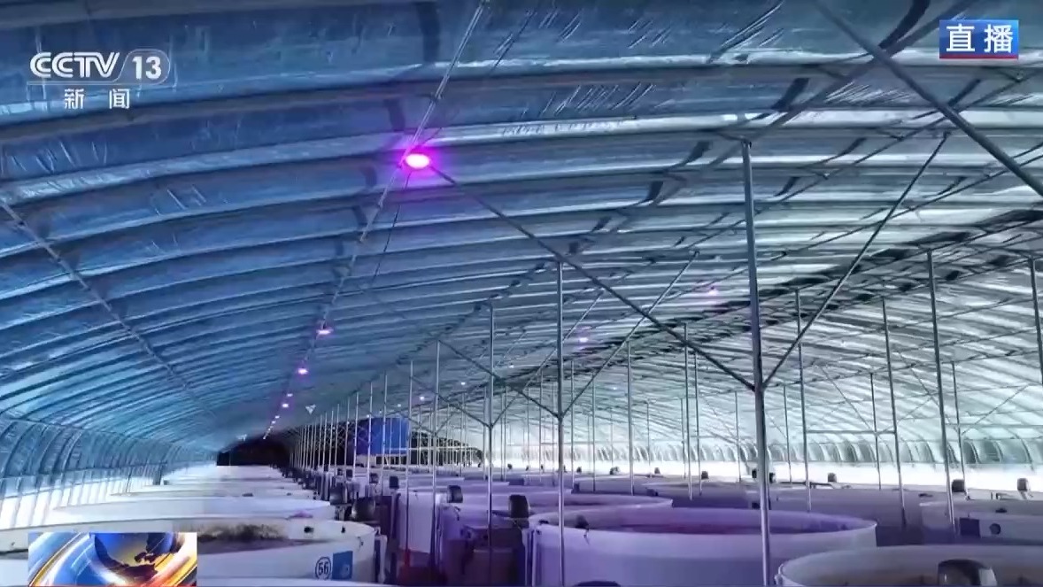 沙漠里如何养海鲜?塔克拉玛干沙漠的水产养殖密码 沙漠里如何养海鲜?塔克拉玛干沙漠的水产养殖密码