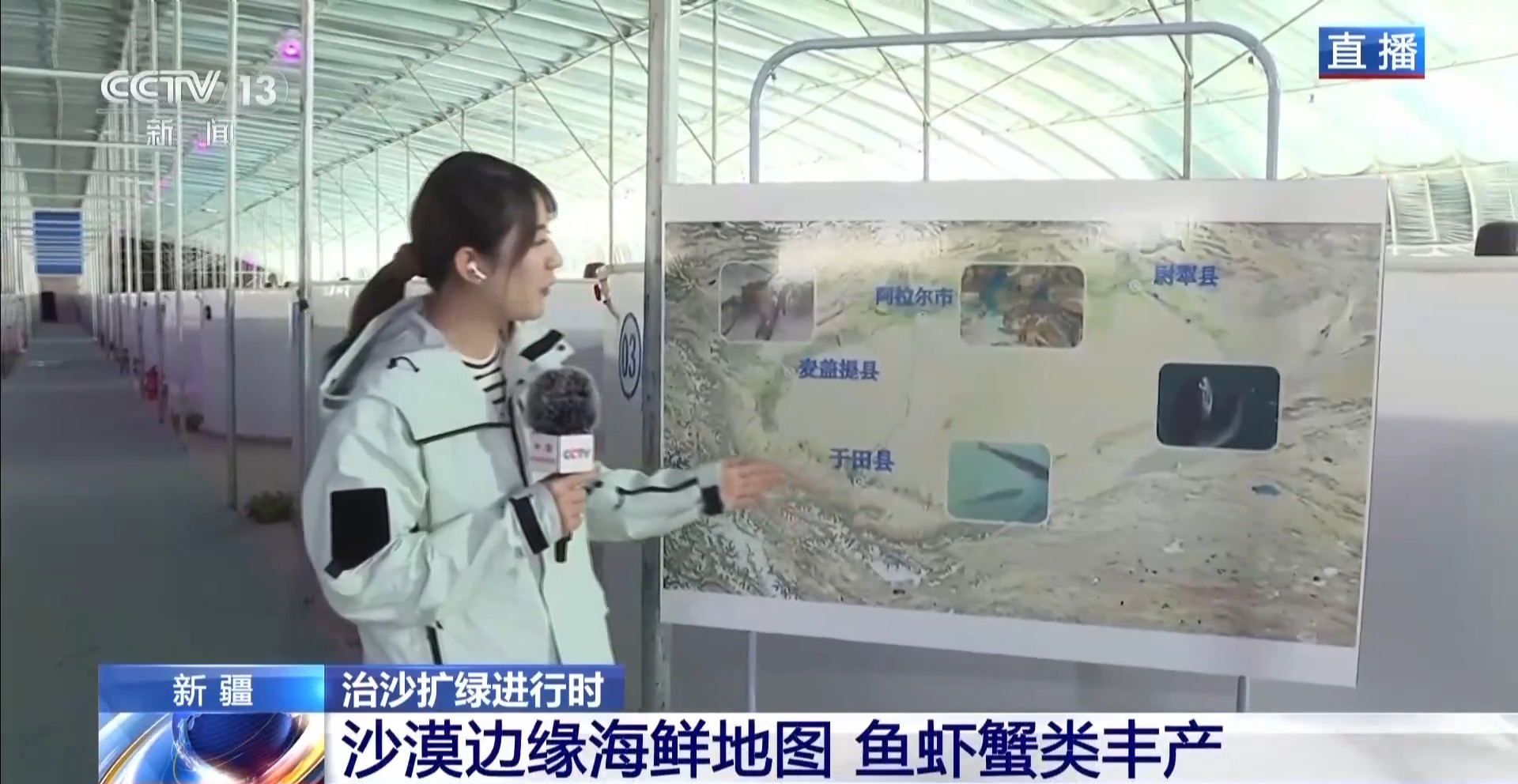 沙漠里如何养海鲜?塔克拉玛干沙漠的水产养殖密码 沙漠里如何养海鲜?塔克拉玛干沙漠的水产养殖密码