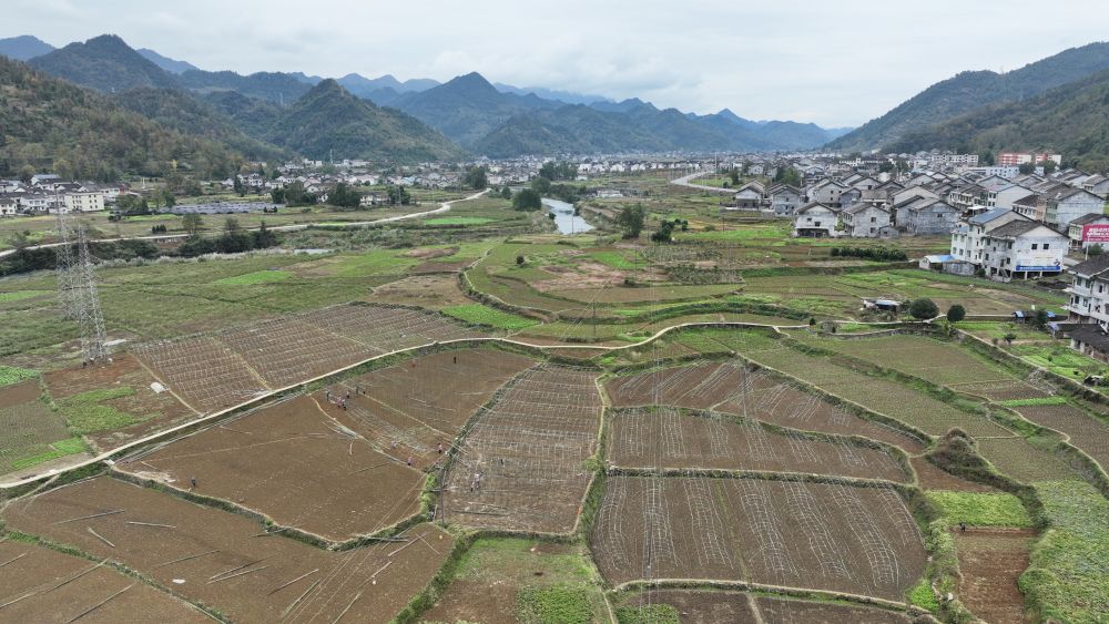 微观高质量发展｜一座矿山里的“生态蝶变”