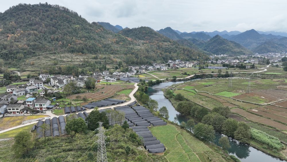 微观高质量发展｜一座矿山里的“生态蝶变”