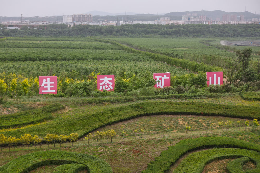 微观高质量发展｜一座矿山里的“生态蝶变”