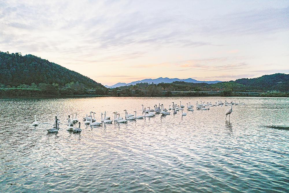 山海交相辉映 城乡相得益彰